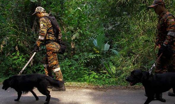 Teriakan suara keluarga Nora Anne bakal berkumandang, bantu jejaki remaja Ireland hilang