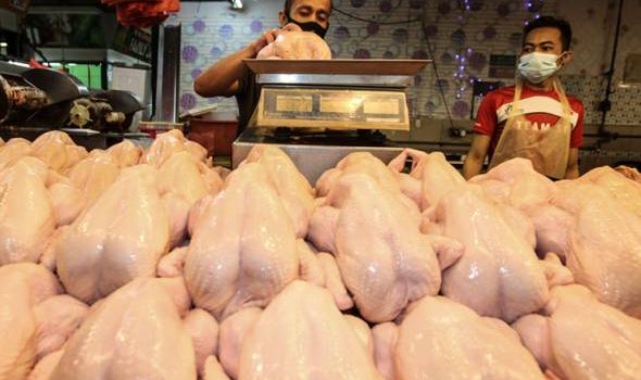 Permintaan tinggi antara sebab kenaikan harga ayam, minyak masak